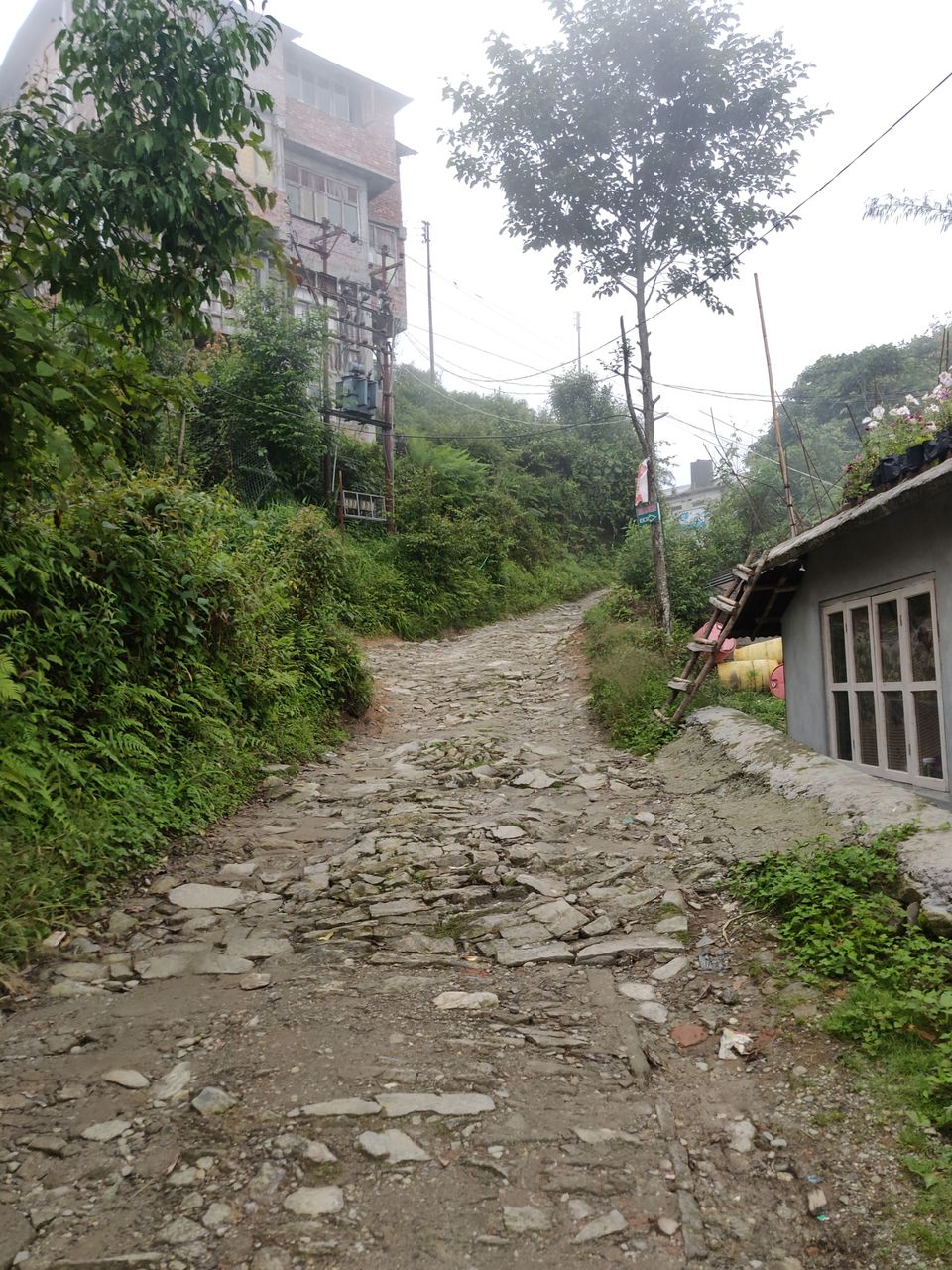 Photo of Rishop, West Bengal, India by Puneet Agarwal