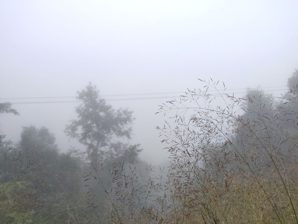 Photo of Rishop, West Bengal, India by Puneet Agarwal
