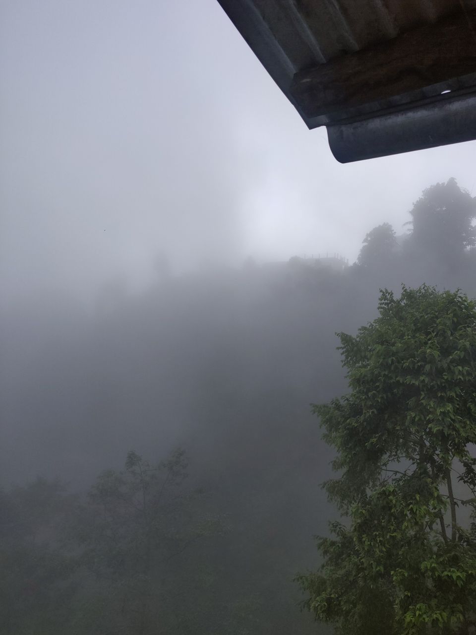 Photo of Rishop, West Bengal, India by Puneet Agarwal