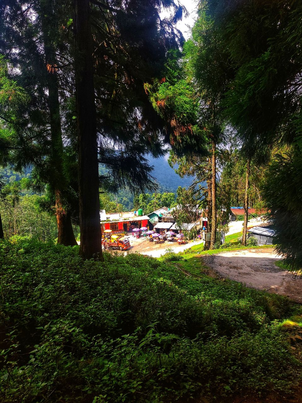 Photo of Rishop, West Bengal, India by Puneet Agarwal