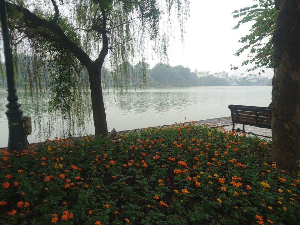 Photo of North Vietnam for the swarming love-bees by Gaurab Ghosh