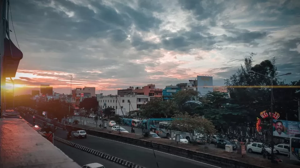 Photo of Once upon the cherry. by Aksh Sharma