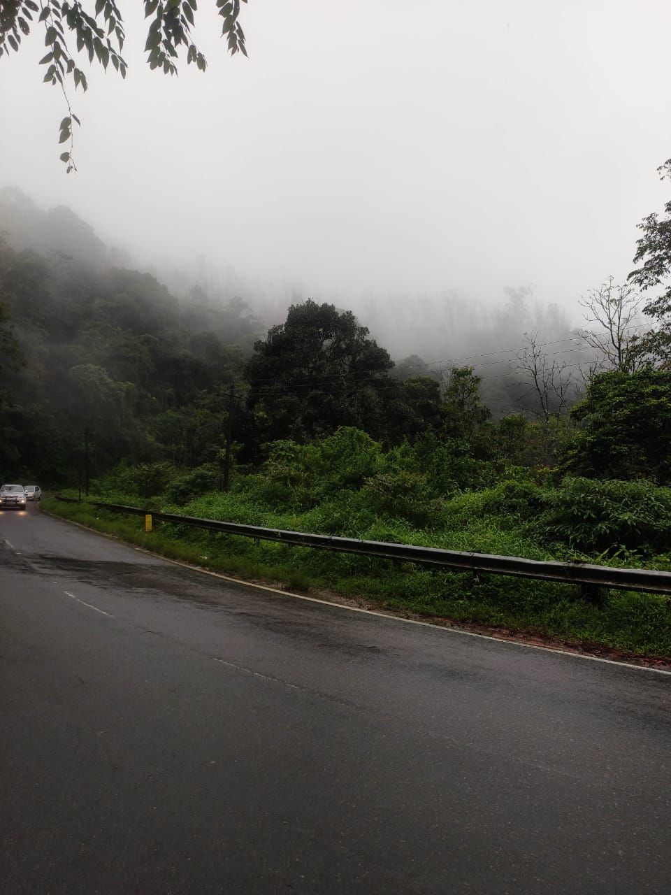 Photo of Two days Date with Coorg-Scotland of India by Vinay Kumar