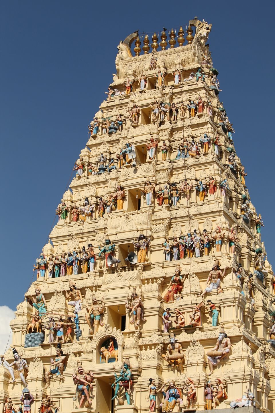 Photo of MM Hill exploring karnataka by shubham poudyal