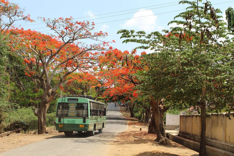 Photo of MM Hill exploring karnataka by shubham poudyal