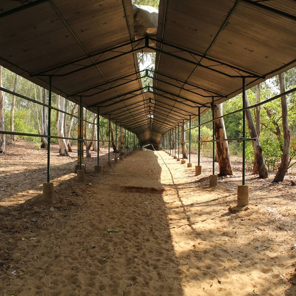 Photo of A day to talkadu,karnataka by shubham poudyal