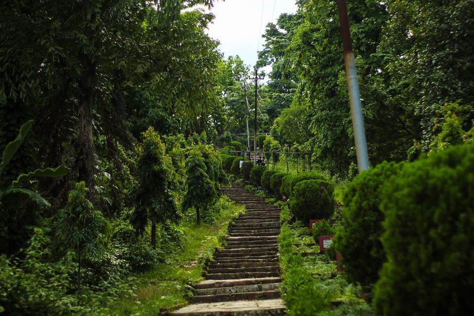 Photo of Nepal Diary A day in Narayanghat by shubham poudyal