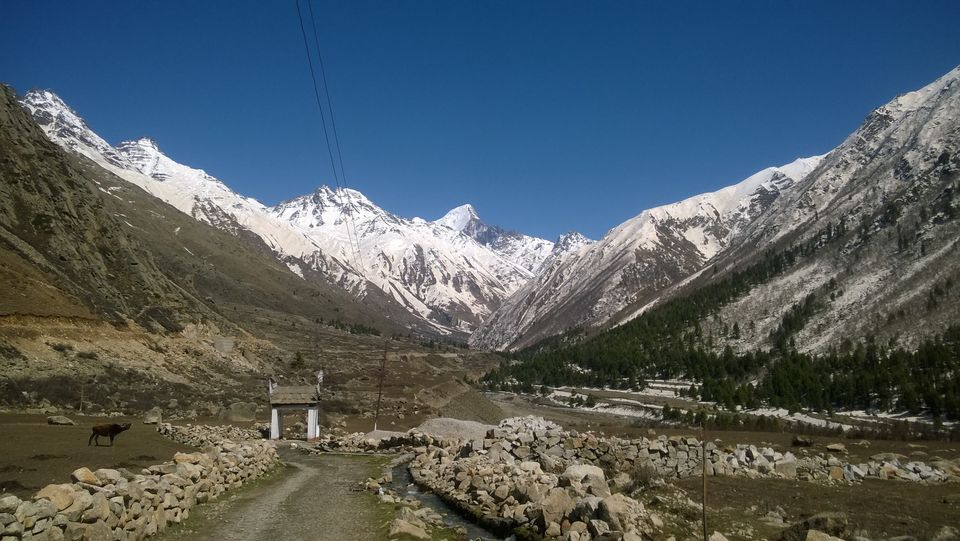 Photo of 3 days to explore the life of kinnaur, some isolated village and there culture.#learningholiday by shubham poudyal