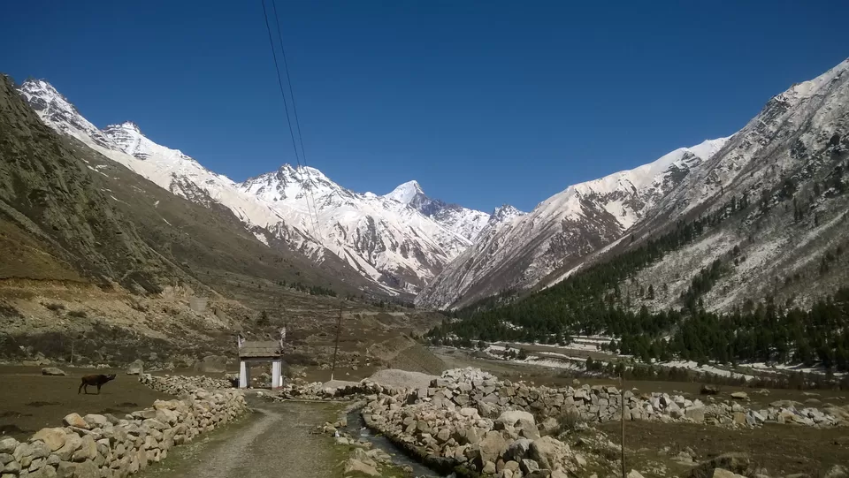 Photo of 3 days to explore the life of kinnaur, some isolated village and there culture.#learningholiday by shubham poudyal