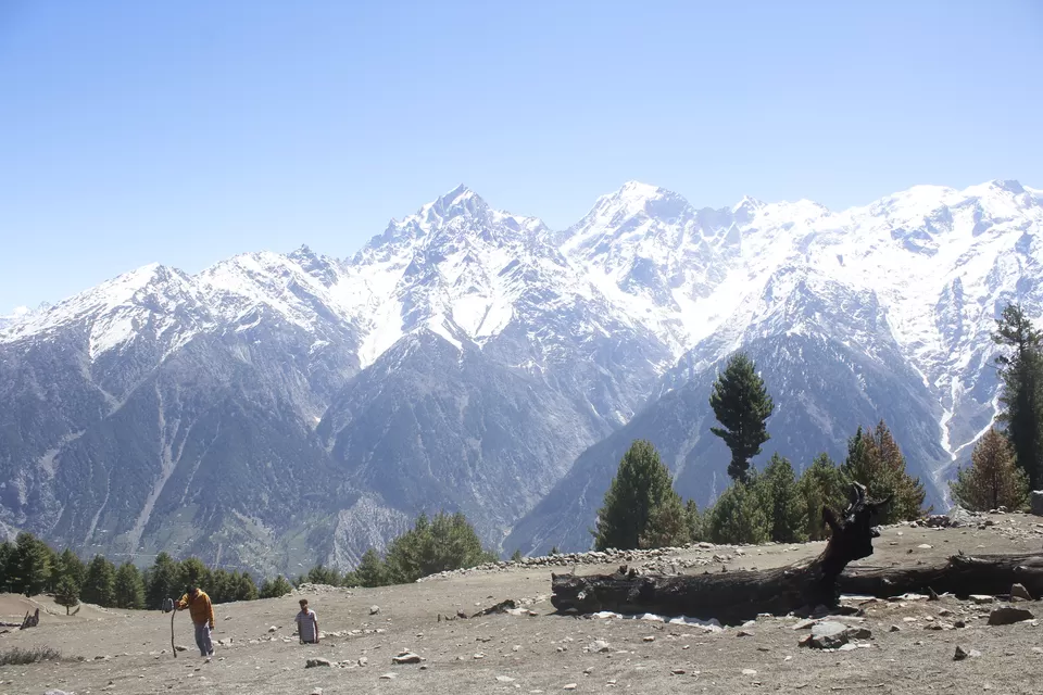 Photo of Kalpa, Reckong Peo, Himachal Pradesh, India by shubham poudyal