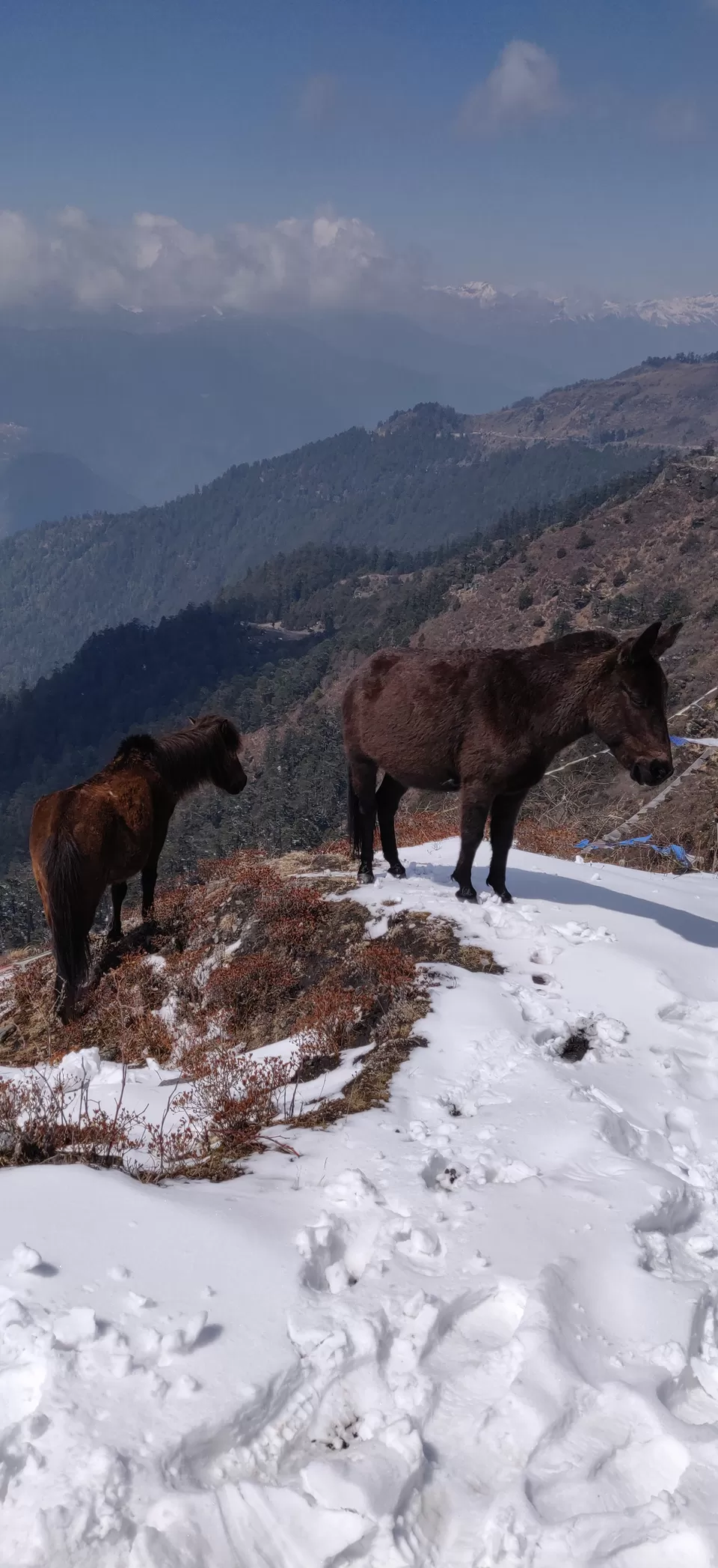 Photo of Chelela pass a snow paradise by Aman Singh Gandhi