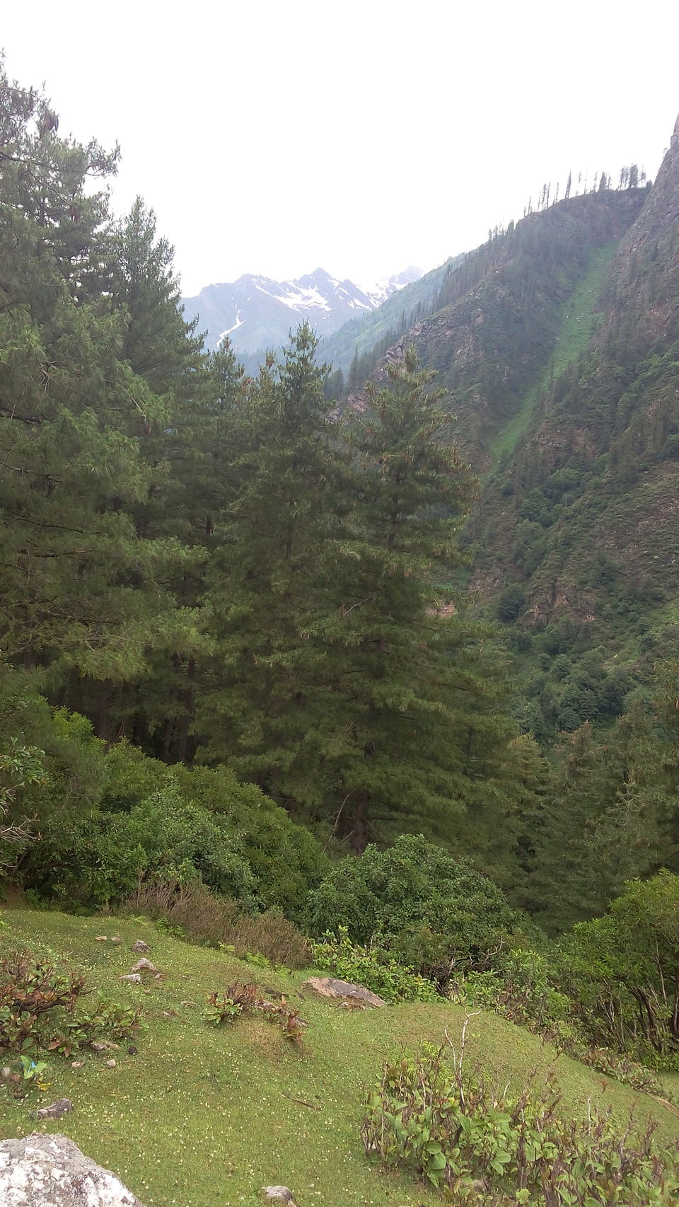 Photo of Northern Diaries 17/34 by Shivam Kendre