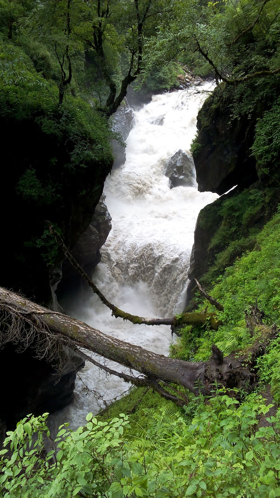 Photo of Northern Diaries 30/34 by Shivam Kendre