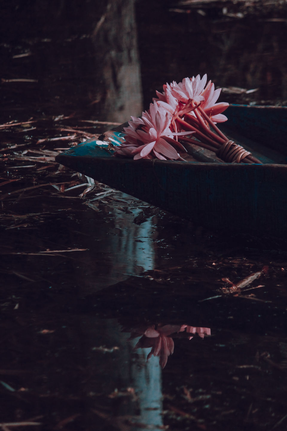 Photo of Gulawat Lotus Valley – Less explored place to visit in The Central India by Tarun Sharma