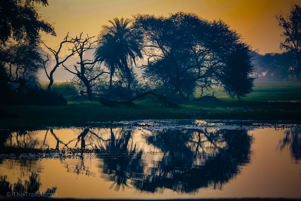 Photo of Gulawat Lotus Valley – Less explored place to visit in The Central India by Tarun Sharma