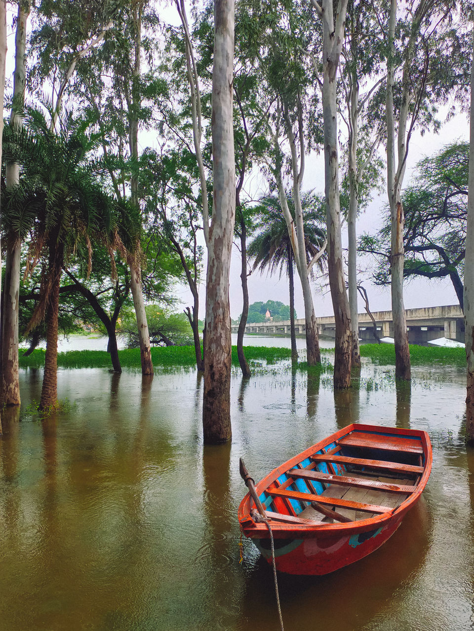 Photo of Gulawat Lotus Valley – Less explored place to visit in The Central India by Tarun Sharma