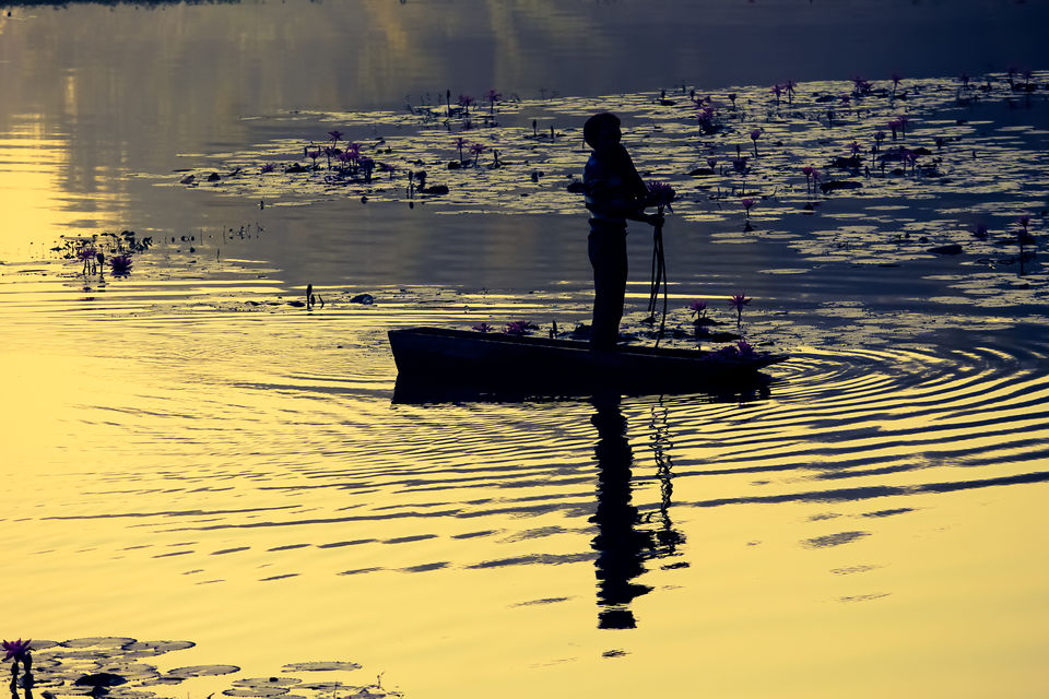 Photo of Gulawat Lotus Valley – Less explored place to visit in The Central India by Tarun Sharma