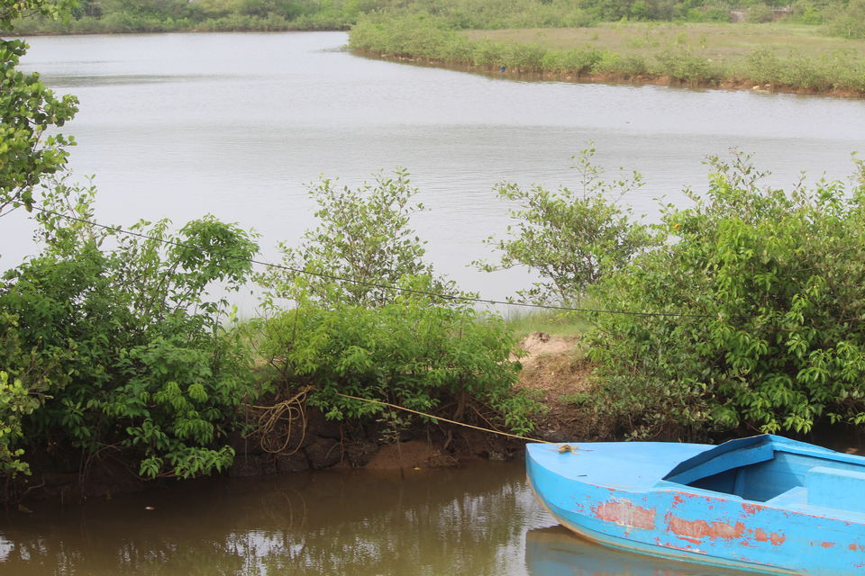 Photo of The whimsical ride: Goa! - Part 1 6/23 by Monali Monalisa