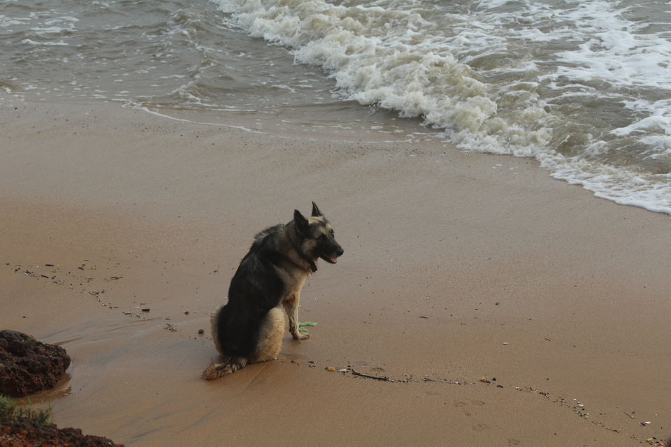 Photo of The whimsical ride: Goa! - Part 1 7/23 by Monali Monalisa