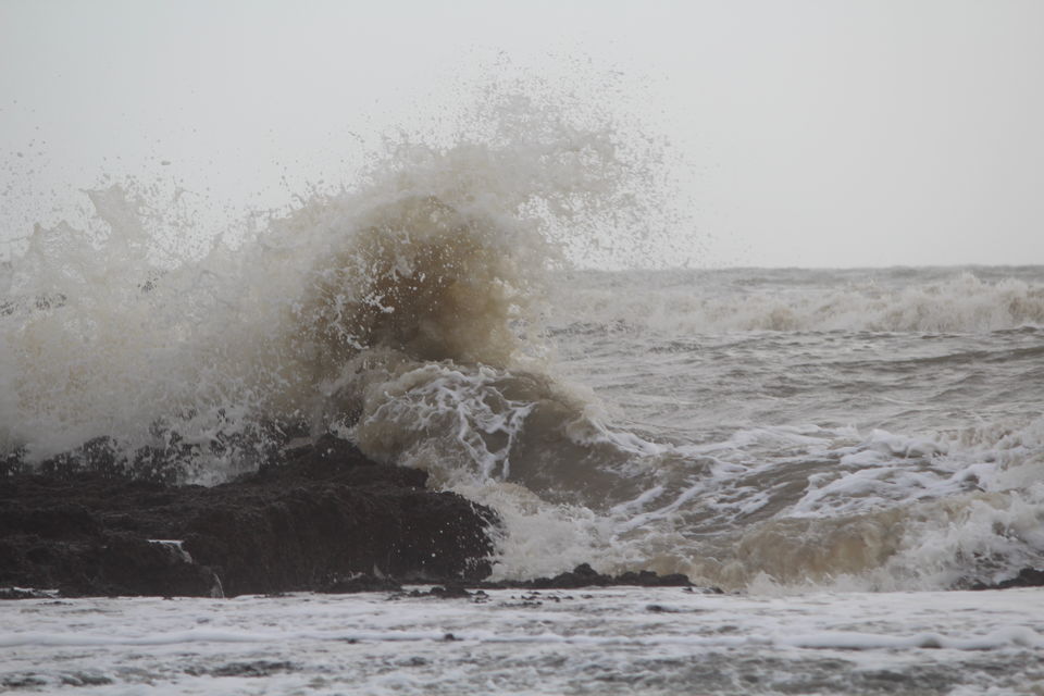 Photo of The whimsical ride: Goa! - Part 1 14/23 by Monali Monalisa