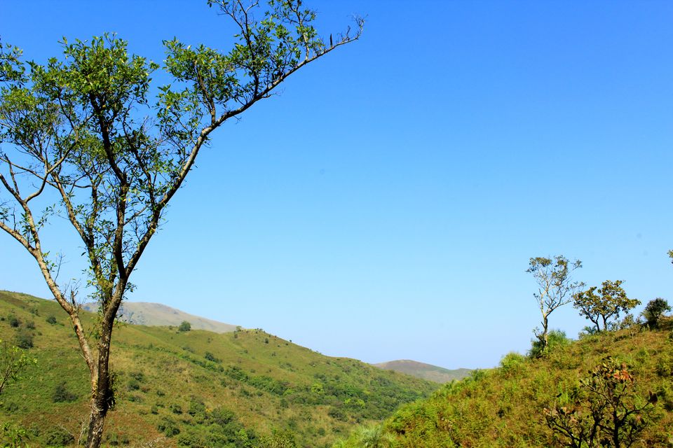 Photo of A Day Of Sheer Adventure: Kudremukh Trek 1/19 by Monali Monalisa