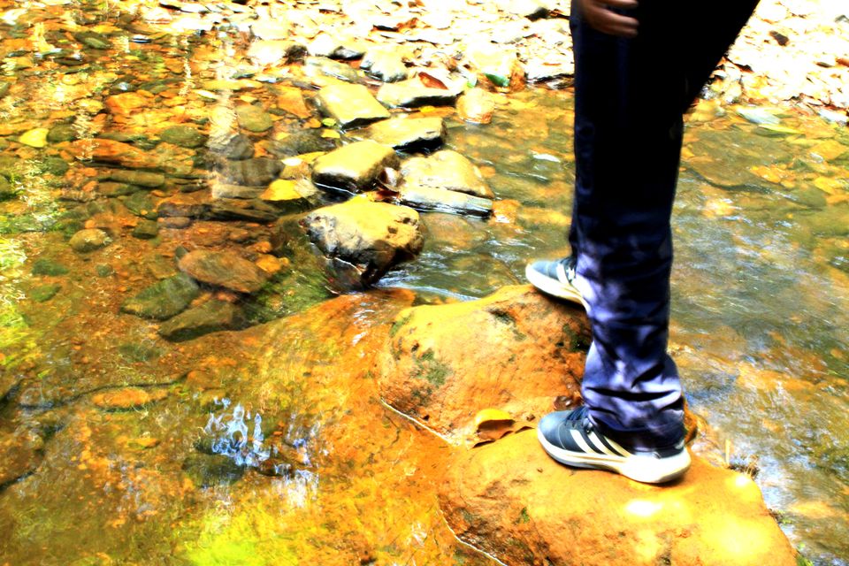 Photo of A Day Of Sheer Adventure: Kudremukh Trek 3/19 by Monali Monalisa