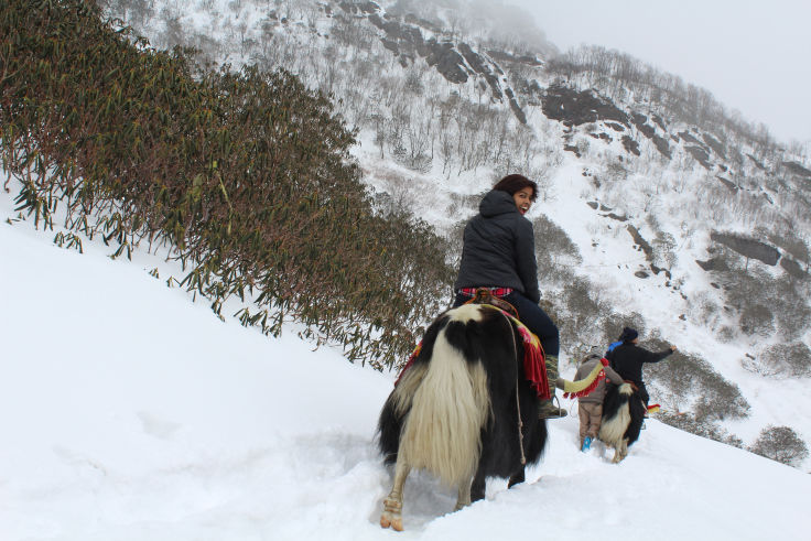 Photo of Sikkim: Through my eyes by Monali Monalisa