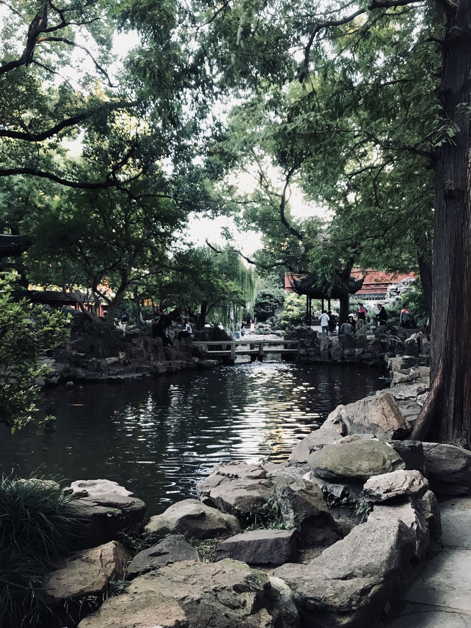 Photo of First Solo Trip: Shanghai Diaries by Naila Jafferey