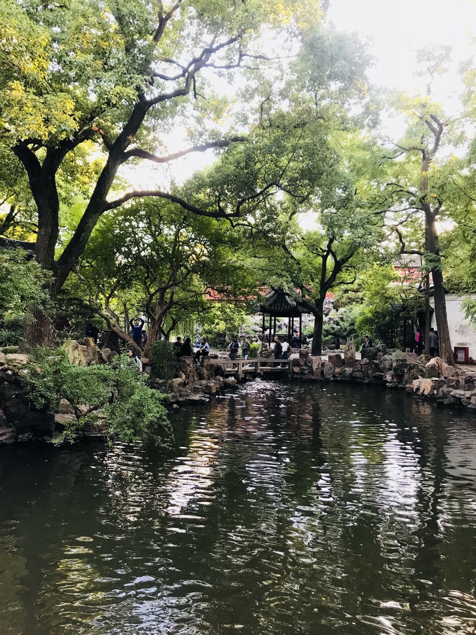 Photo of First Solo Trip: Shanghai Diaries by Naila Jafferey