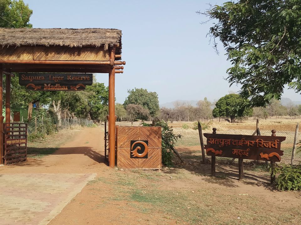 Photo of Unwind your Soul in Wilderness of Madhai #notinhills #IssSummerBaharNikal by Bhopali Bonvoyage