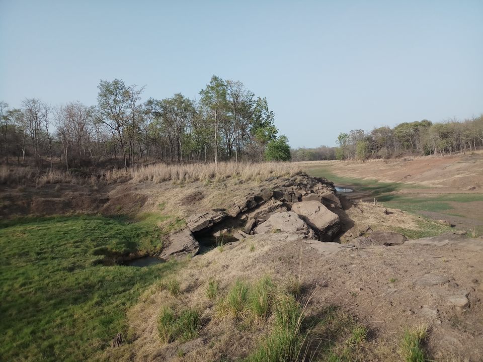 Photo of Satpura Tiger Reserve, Madhai, Suplai, Madhya Pradesh, India by Bhopali Bonvoyage