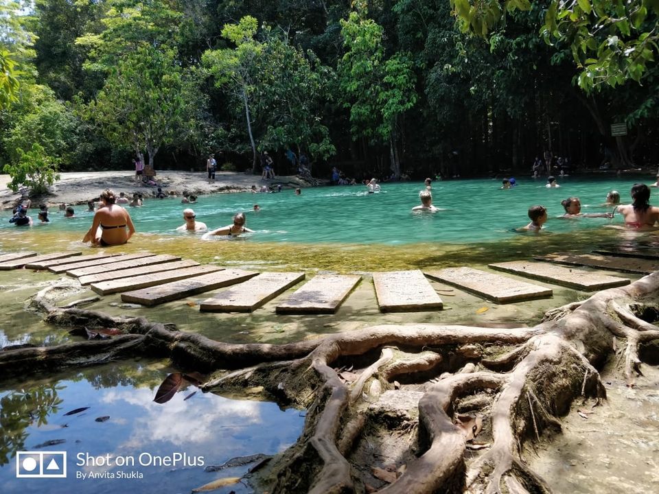 Photo of Elephant trekking, Ko Lanta Yai, Ko Lanta District, Krabi, Thailand by Anvita Shukla