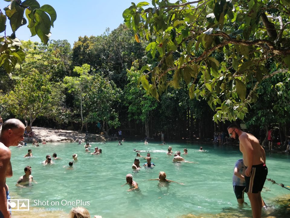 Photo of Elephant trekking, Ko Lanta Yai, Ko Lanta District, Krabi, Thailand by Anvita Shukla