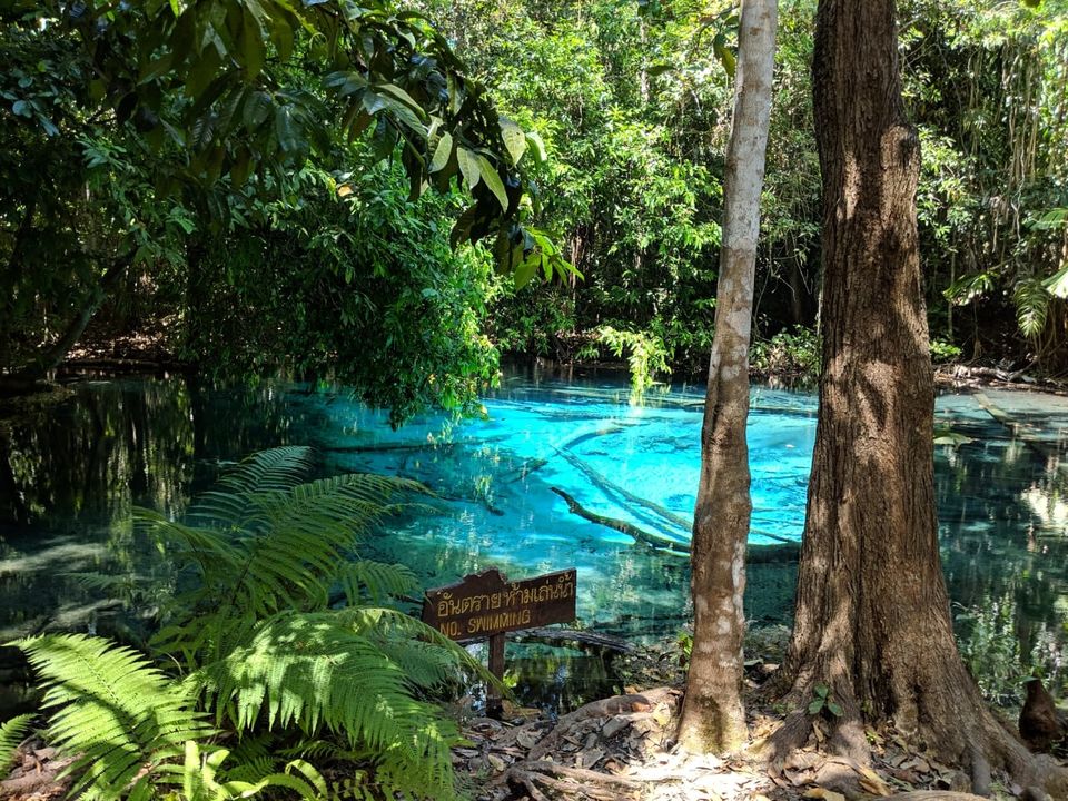 Photo of Elephant trekking, Ko Lanta Yai, Ko Lanta District, Krabi, Thailand by Anvita Shukla
