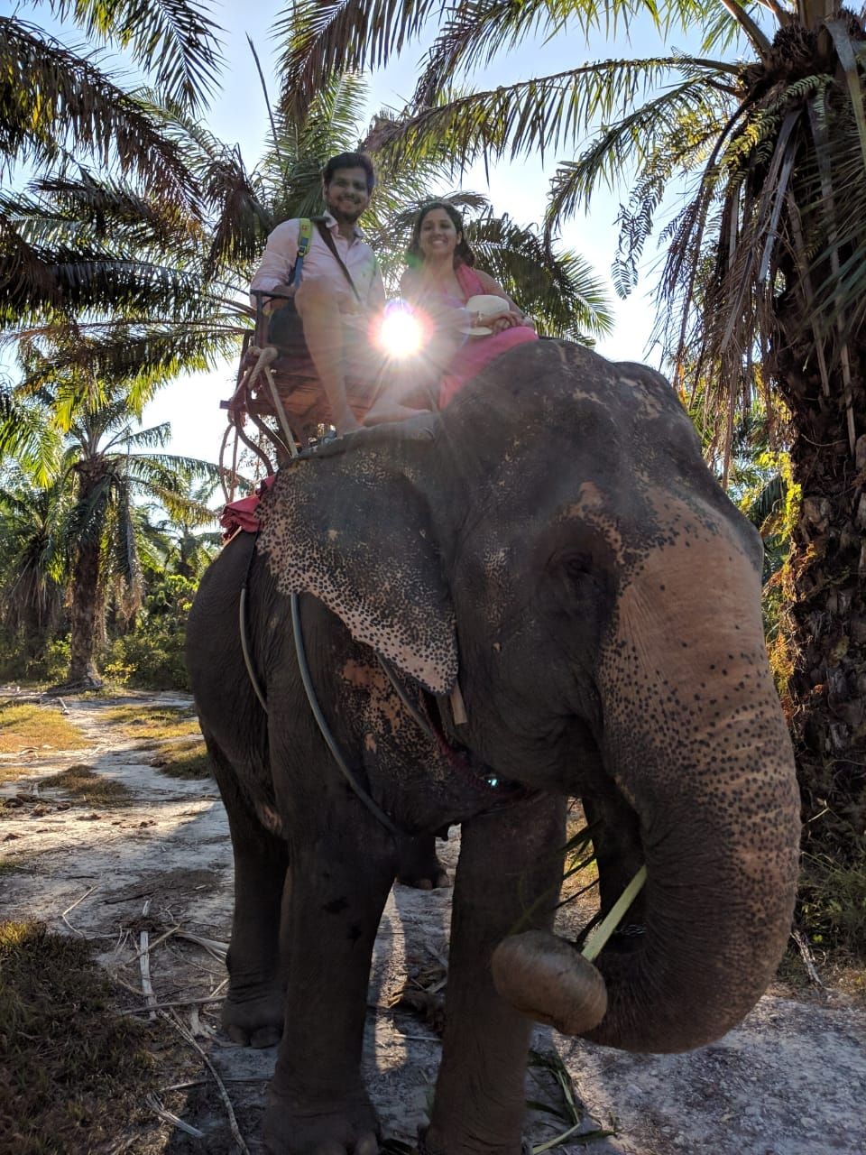 Photo of Elephant trekking, Ko Lanta Yai, Ko Lanta District, Krabi, Thailand by Anvita Shukla