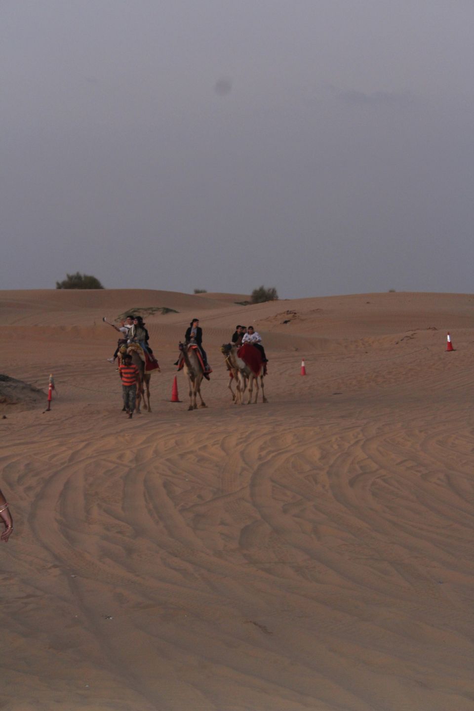 Photo of Desert Safari Dubai - Dubai - United Arab Emirates by Anvita Shukla