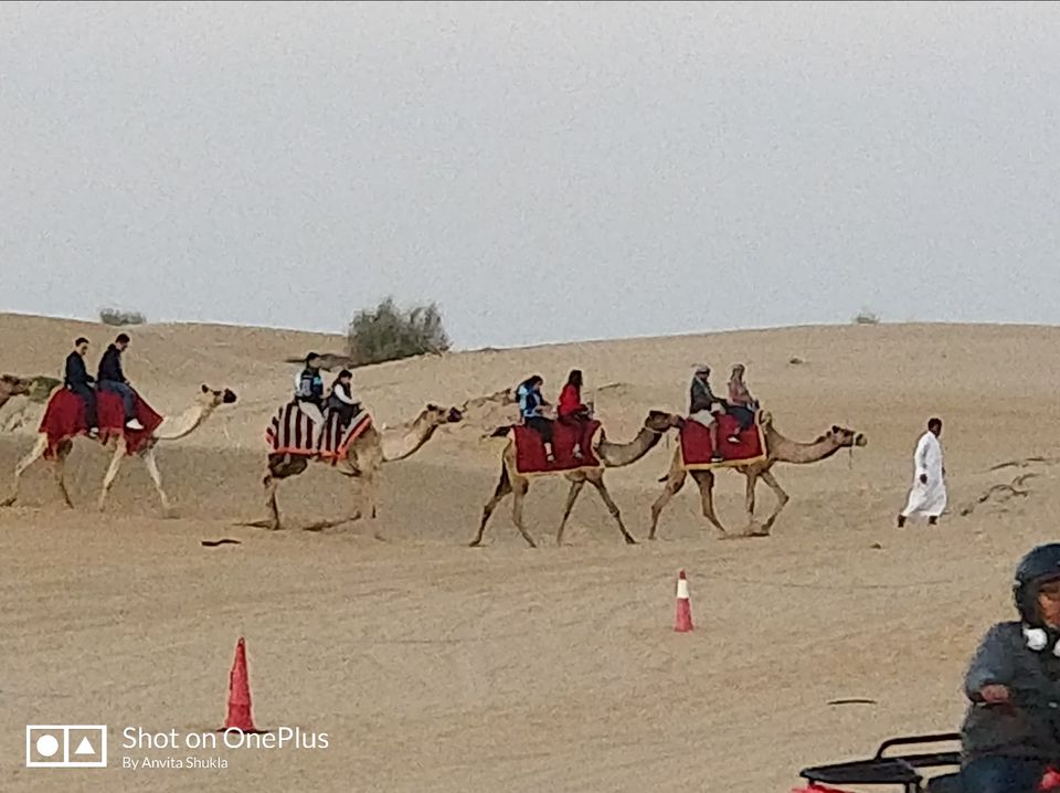 Photo of Desert Safari Dubai - Dubai - United Arab Emirates by Anvita Shukla