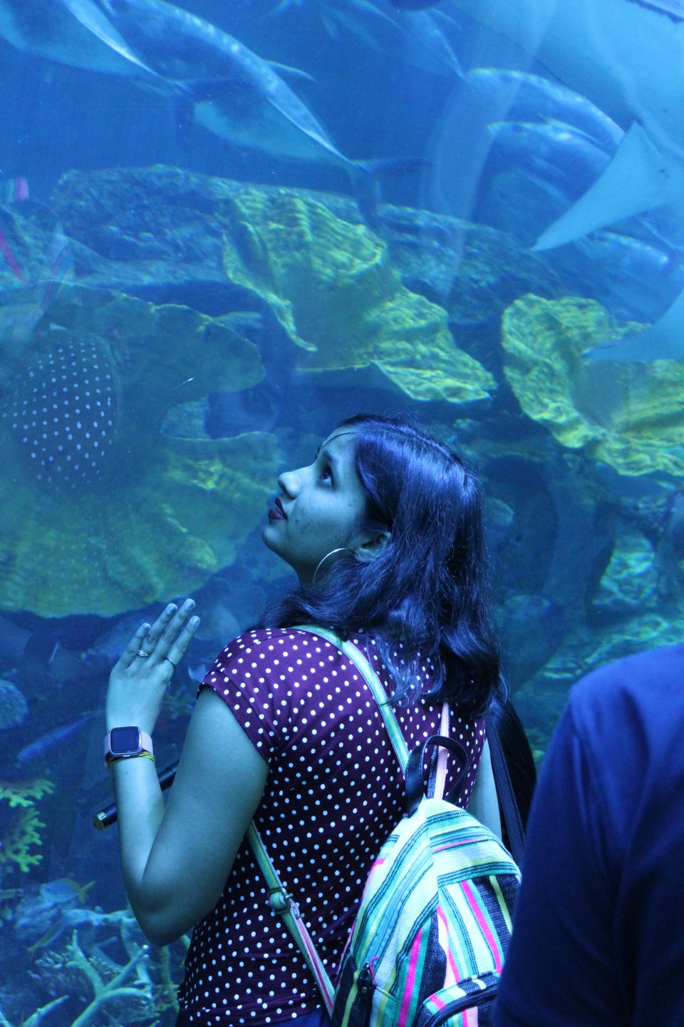 Photo of Dubai Aquarium & Underwater Zoo - Financial Center Road - Dubai - United Arab Emirates by Anvita Shukla