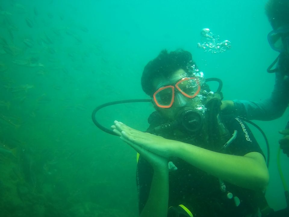 Photo of Havelock Island, Andaman and Nicobar Islands by Anvita Shukla