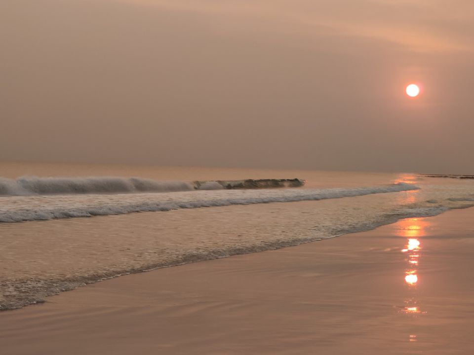 Photo of Havelock Island, Andaman and Nicobar Islands by Anvita Shukla
