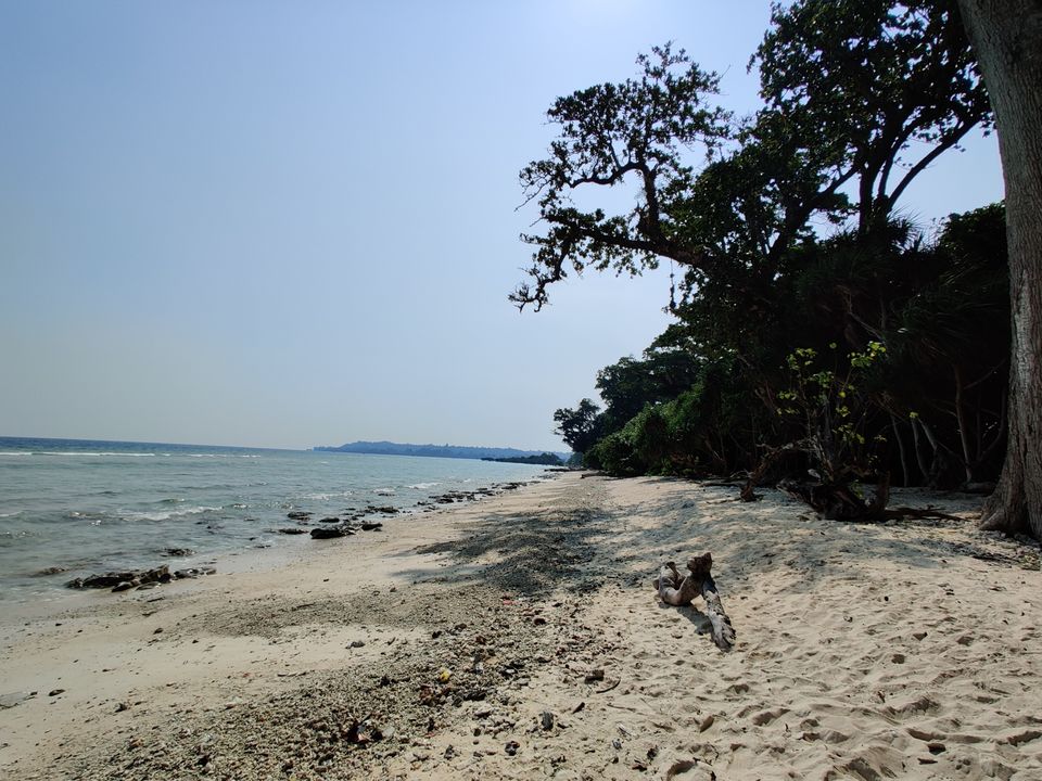 Photo of Natural Bridge, Andaman and Nicobar Islands, India by Anvita Shukla