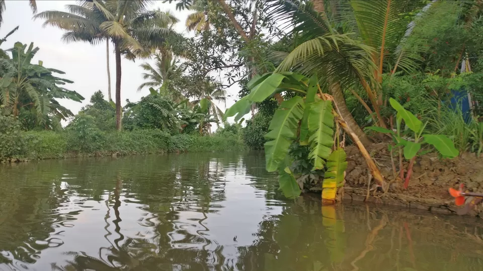 Photo of Kumarakom : Backwater wonder by Sreedhar Suresh