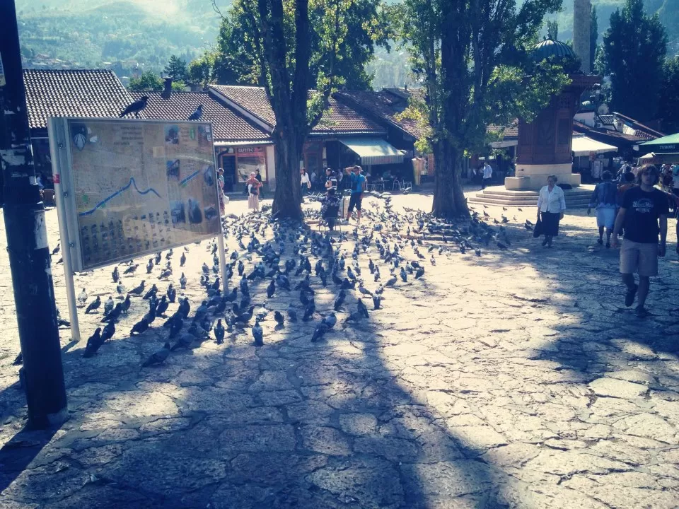 Photo of Sarajevo, Bosnia and Herzegovina by Mike 