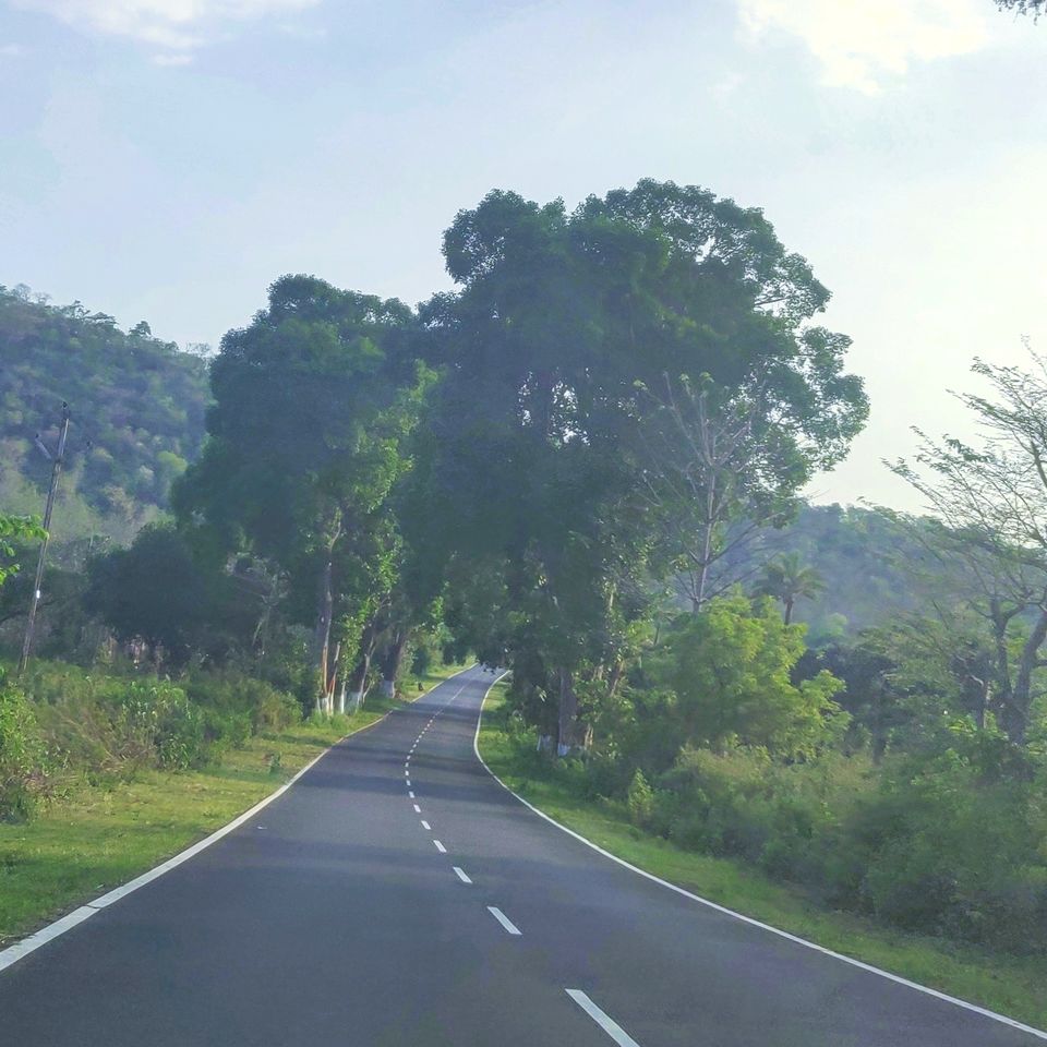 Photo of Drive to TIKARPADA, ODISHA- the ultimate Jungle road trip!! 2/17 by Sameet Pattnaik