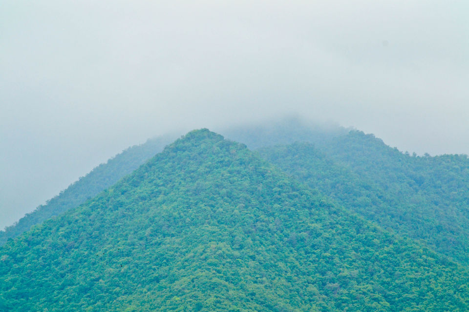 Photo of Drive to TIKARPADA, ODISHA- the ultimate Jungle road trip!! 3/17 by Sameet Pattnaik