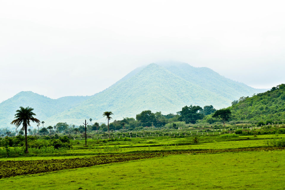 Photo of Drive to TIKARPADA, ODISHA- the ultimate Jungle road trip!! 4/17 by Sameet Pattnaik