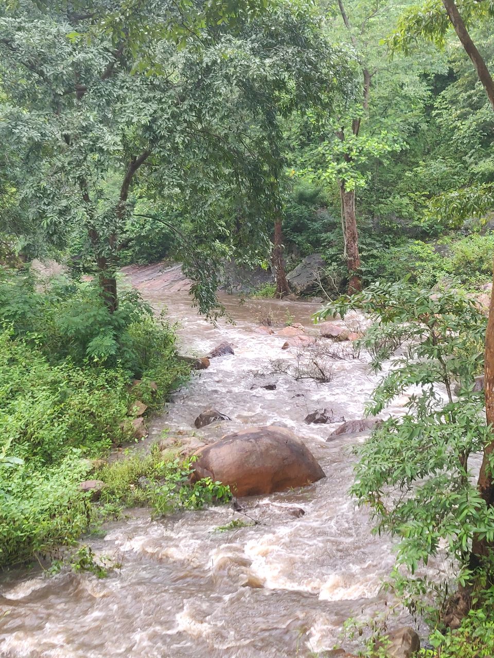 Photo of Drive to TIKARPADA, ODISHA- the ultimate Jungle road trip!! 5/17 by Sameet Pattnaik
