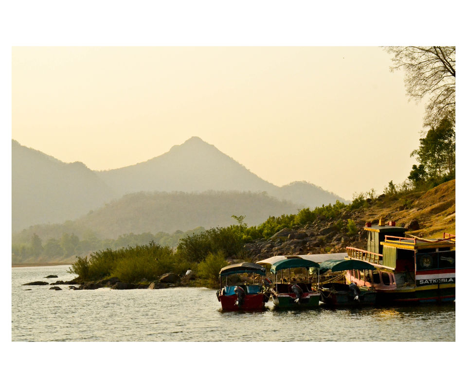 Photo of Drive to TIKARPADA, ODISHA- the ultimate Jungle road trip!! 8/17 by Sameet Pattnaik