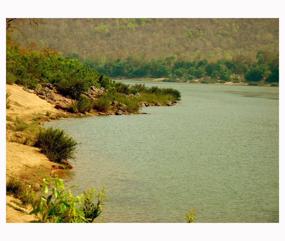 Photo of Drive to TIKARPADA, ODISHA- the ultimate Jungle road trip!! 11/17 by Sameet Pattnaik