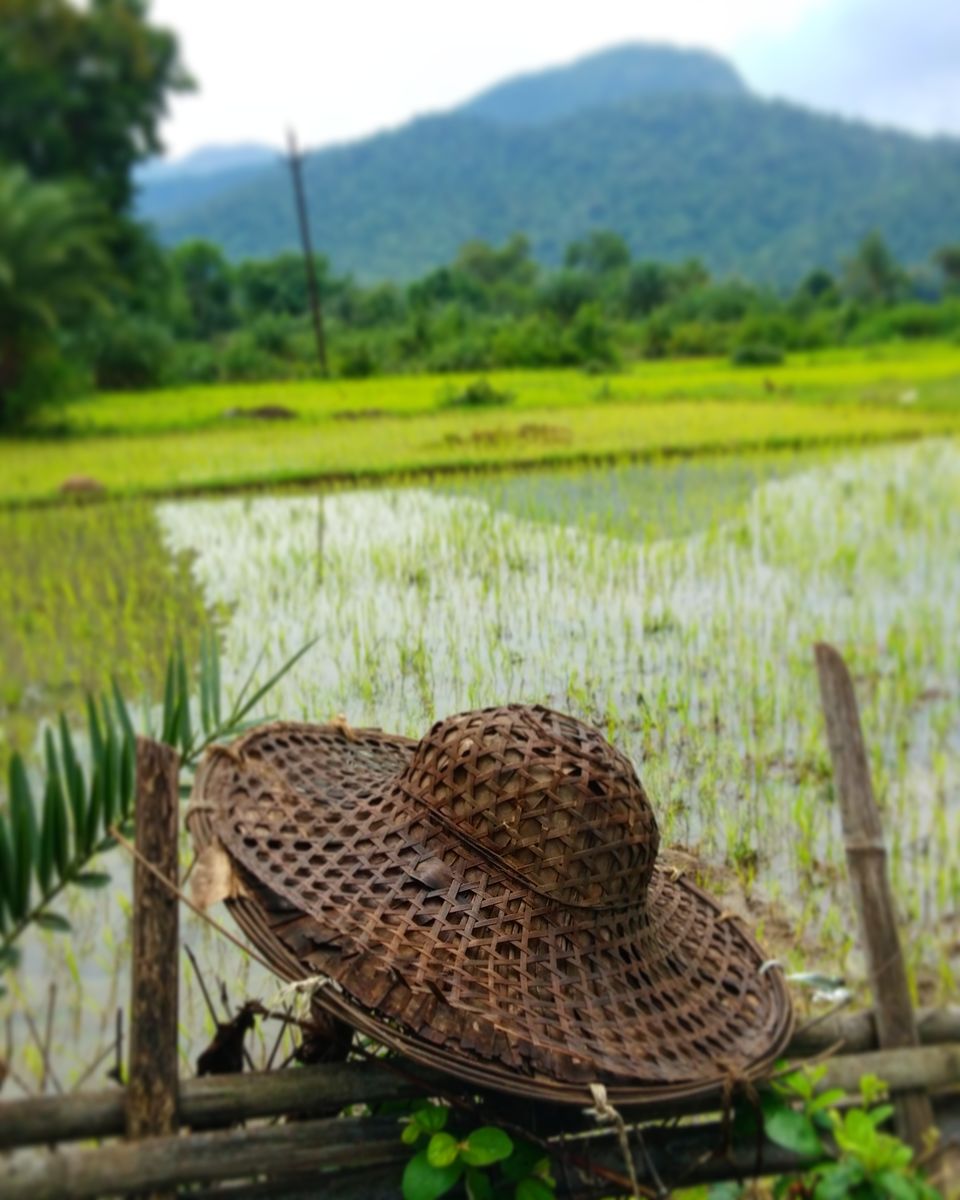 Photo of Drive to TIKARPADA, ODISHA- the ultimate Jungle road trip!! 7/17 by Sameet Pattnaik